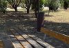 Fano, Panaroni: “Parchetto Sant’Orso V. Iacucci situazione esplosiva”