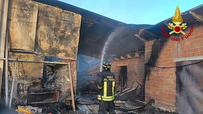 Vigili del Fuoco Montemahhiore al Met 14 LUG 026