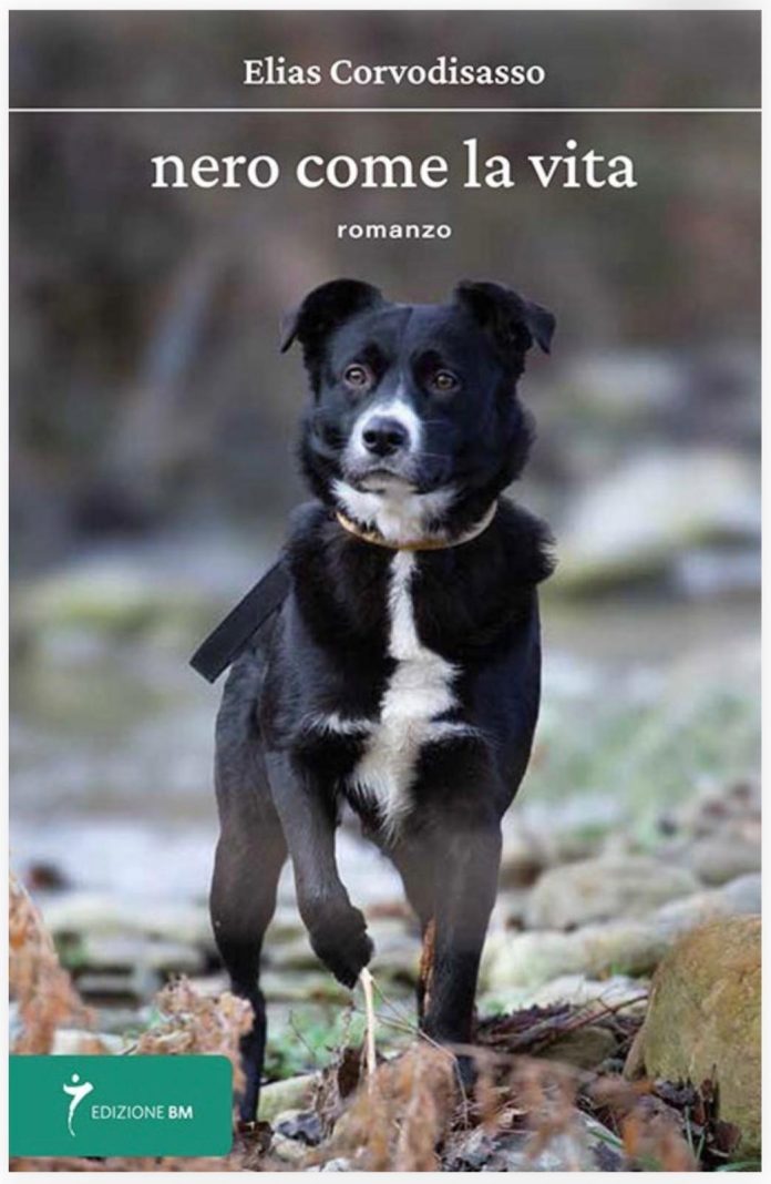 copertina Leo (1)