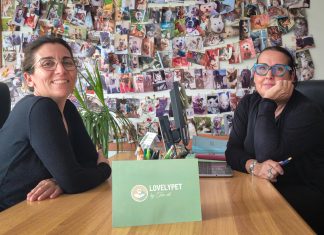 Animali da compagnia, il primo servizio di cremazione delle Marche compie 10 anni. Si trova a Sant’Ippolito