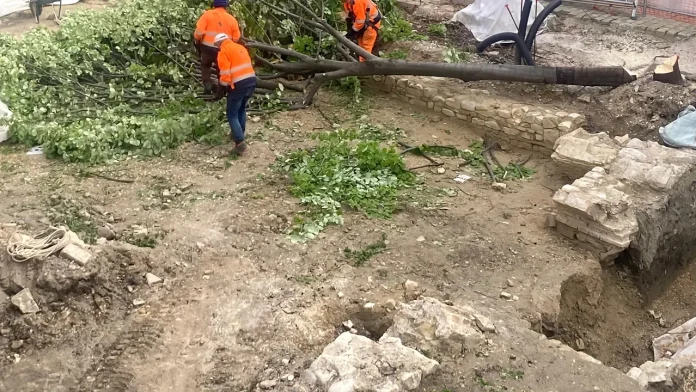 scure-in-piazza-costa-la-delibera-dal-comune-lok-a-tagliare-21-alberi