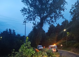 Maltempo e raffiche di vento, più di trenta interventi della Provincia sulle strade tra Fano e Valle del Cesano
