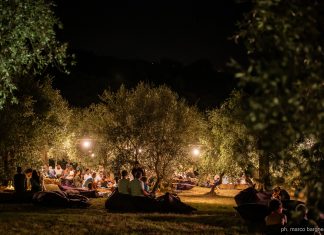 “Stiamo tra gli Ulivi”, l’evento nel cuore del paesaggio olivicolo di Cartoceto