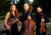 “Musica a Palazzo” apre a Urbino: il 9 agosto il Trio Quodlibet nel Cortile del Palazzo Ducale