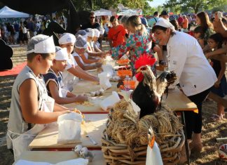 SLURP! il nuovo festival di Fano che unisce cibo, storie e gioco
