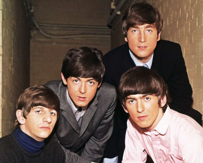 the-beetles-1-1a971bd703a849268568fcf20bee9fe1