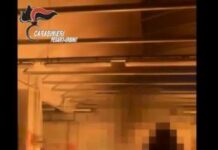 Fabbricavano bottiglie Molotov. Indagini e sequestri dei Carabinieri