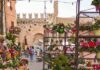 A Fano torna la Festa dei Fiori: tre giorni tra fiori, artigianato, musica e sapori alla Zona Pincio