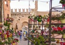 A Fano torna la Festa dei Fiori: tre giorni tra fiori, artigianato, musica e sapori alla Zona Pincio