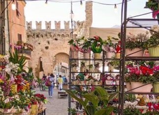 A Fano torna la Festa dei Fiori: tre giorni tra fiori, artigianato, musica e sapori alla Zona Pincio