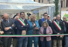 Cartoceto DOP, il Festival. Grande partecipazione tra mostra mercato, eccellenze, degustazioni, Sentieri Verdi e spettacoli diffusi