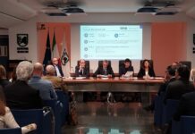 Credito: tavolo regionale, oltre 457 milioni di finanziamenti alle imprese dal 2024. Nuove misure per PMI e agricoltura per 9,6 milioni entro fine anno