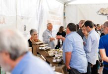 Francia e Germania, mezza Europa a Pergola. La Fiera Internazionale del Tartufo di Pergola concede il bis