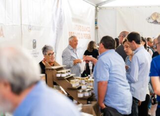 Francia e Germania, mezza Europa a Pergola. La Fiera Internazionale del Tartufo di Pergola concede il bis