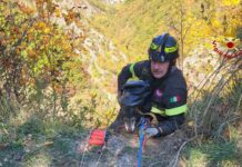 Cagli, vigili del fuoco salvano una cagnolina caduta in una scarpata a Colombara