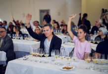 Acqualagna, arriva il secondo weekend della 61ª Fiera Internazionale del Tartufo Bianco