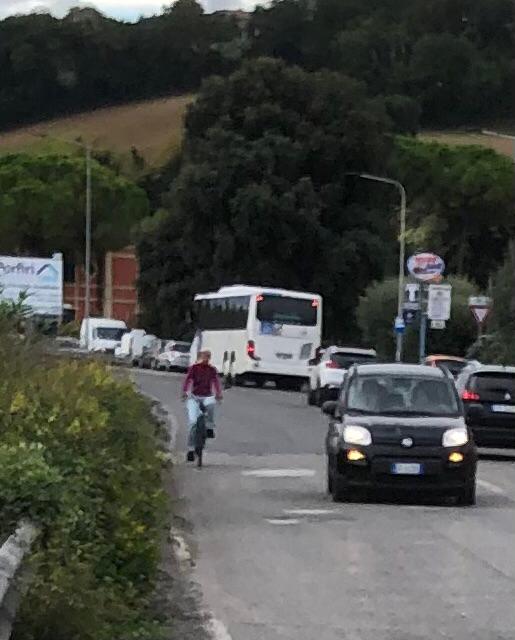 Flaminia