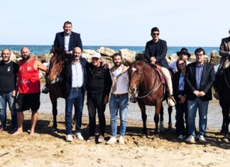 Cantiano Fiera Cavalli, due domeniche tra spettacoli, tradizione e territorio