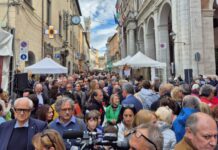Tartufo prime quotazioni intorno ai 1.800 euro al chilo. Domenica 4 ottobre parte la Fiera Internazionale a Pergola con 56 espositori