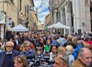Tartufo prime quotazioni intorno ai 1.800 euro al chilo. Domenica 4 ottobre parte la Fiera Internazionale a Pergola con 56 espositori