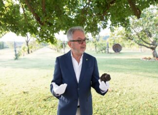 A tu per tu con Giuseppe Cristini, una vita tra comunicazione, vino, tartufo e territorio. “Così sono entrato nelle comunità”