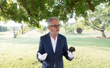 A tu per tu con Giuseppe Cristini, una vita tra comunicazione, vino, tartufo e territorio. “Così sono entrato nelle comunità”