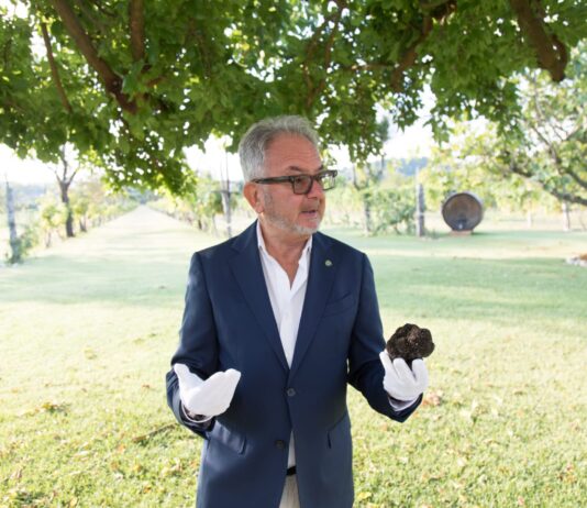 A tu per tu con Giuseppe Cristini, una vita tra comunicazione, vino, tartufo e territorio. “Così sono entrato nelle comunità”