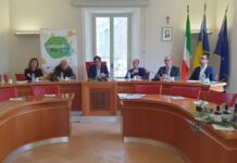 Cartoceto DOP, il Festival: il 25 ottobre e il 1° novembre il borgo diventa palco