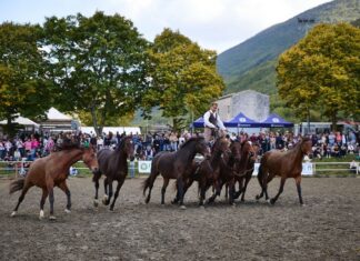 Cantiano Fiera Cavalli, 13mila ingressi per un’edizione da record