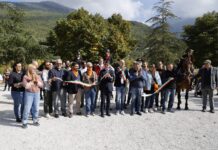 Cavallo del Catria, una crescita straordinaria in cinque anni più che raddoppiati gli esemplari. Prima domenica boom di presenze