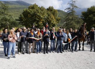 Cavallo del Catria, una crescita straordinaria in cinque anni più che raddoppiati gli esemplari. Prima domenica boom di presenze