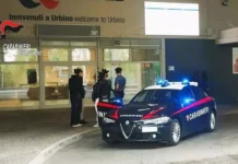 Carabinieri arrestano un pakistano a Urbino: aveva circa 250 grammi di hascisc divisi in 33 stecche